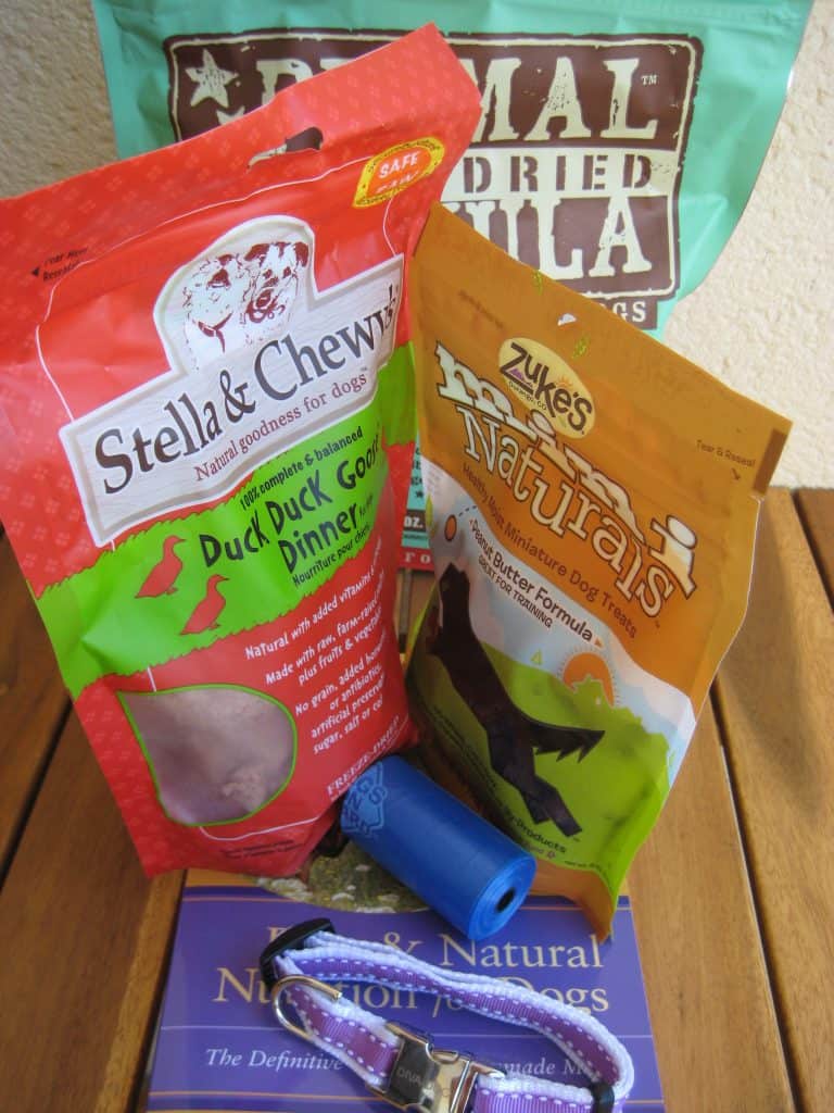 Top things you need to know about pet culture in France vs. USA