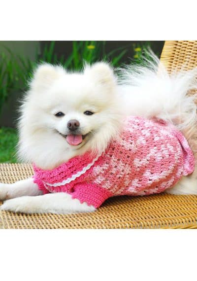 Etsy-dog-clothes