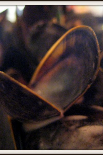 Brittany France mussels