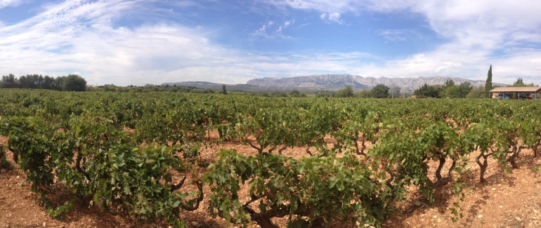 Mas de Cadenet vineyard winery France