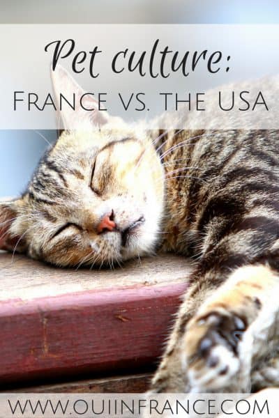 Pet culture in France vs. the USA