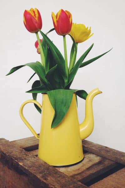 yellow cafetiere vase