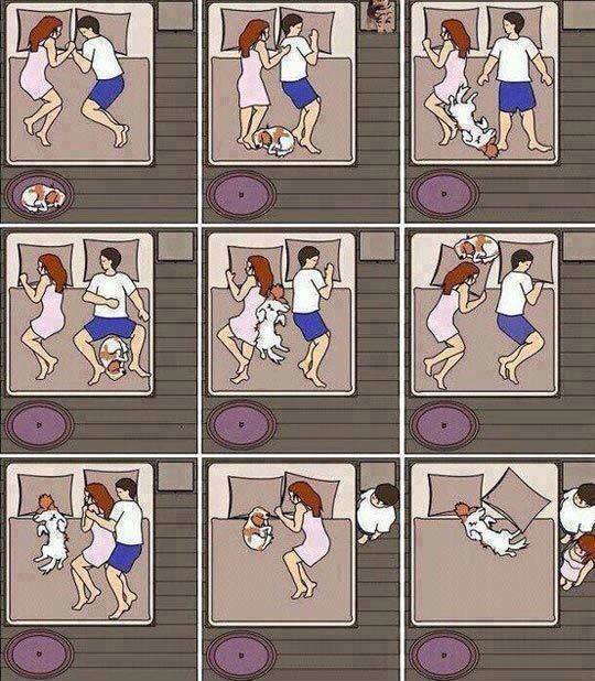 sleeping-with-your-dog