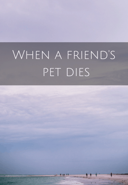 When a friend's pet dies