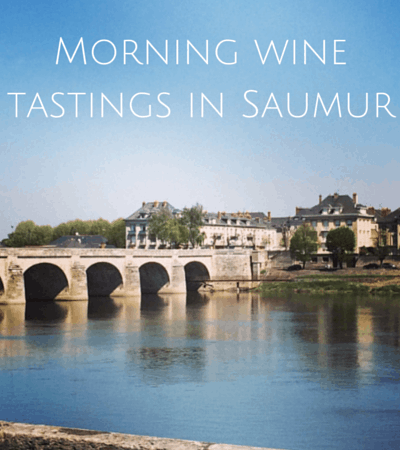 Morning wine tastings in Saumur