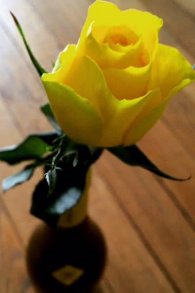 yellow rose in wine bottle vase