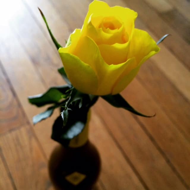yellow rose in wine bottle vase