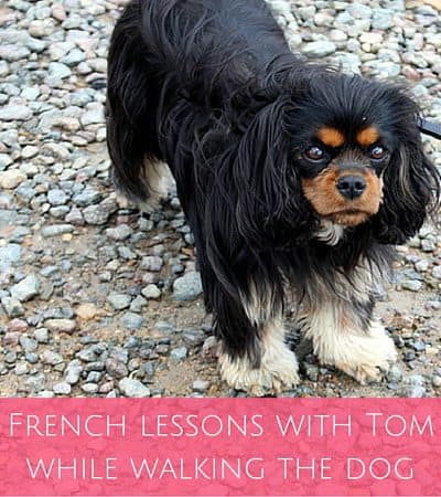 French lessons with Tom while walking the dog