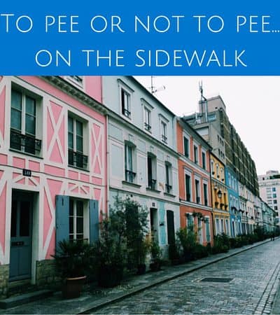 dog peeing on sidewalk