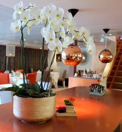 croisieurope restaurant ms loire princesse