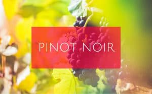 how to say pinot noir