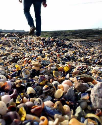 france shell beach loire atlantic coast