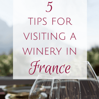 tips for visiting a winery in france