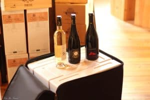 lazenne wine suitcase
