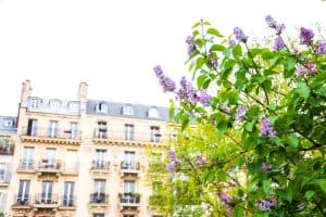 what to know about vacation rentals in paris