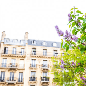 Paris vacation apartment rentals