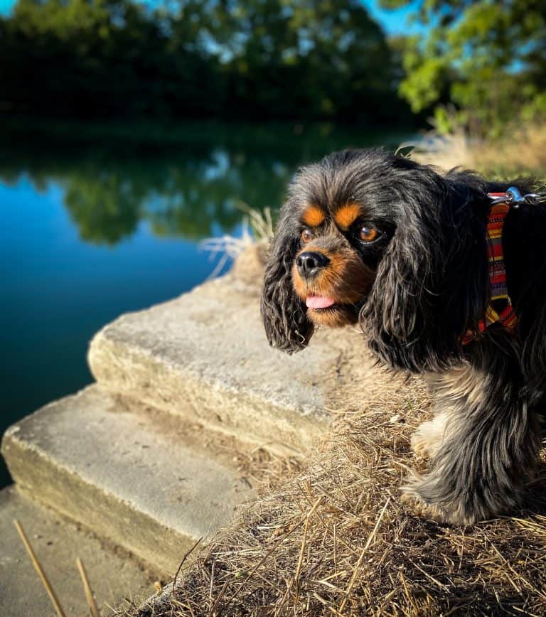 9 Best things about living in France as an American