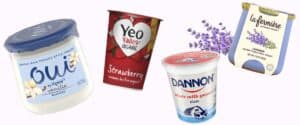 french style yogurt brands